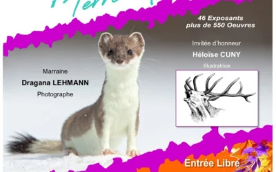 Festival » Terre Nature » Contrexéville (88)
