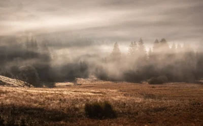 Les filtres dégradés en photo de paysage